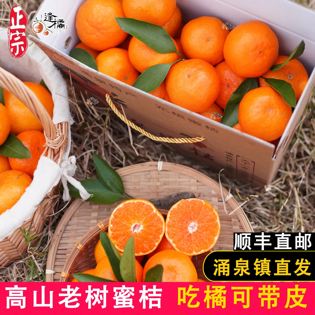 正宗台州临海涌泉蜜橘子黄岩现摘柑橘当季新鲜无核桔子5斤礼盒装