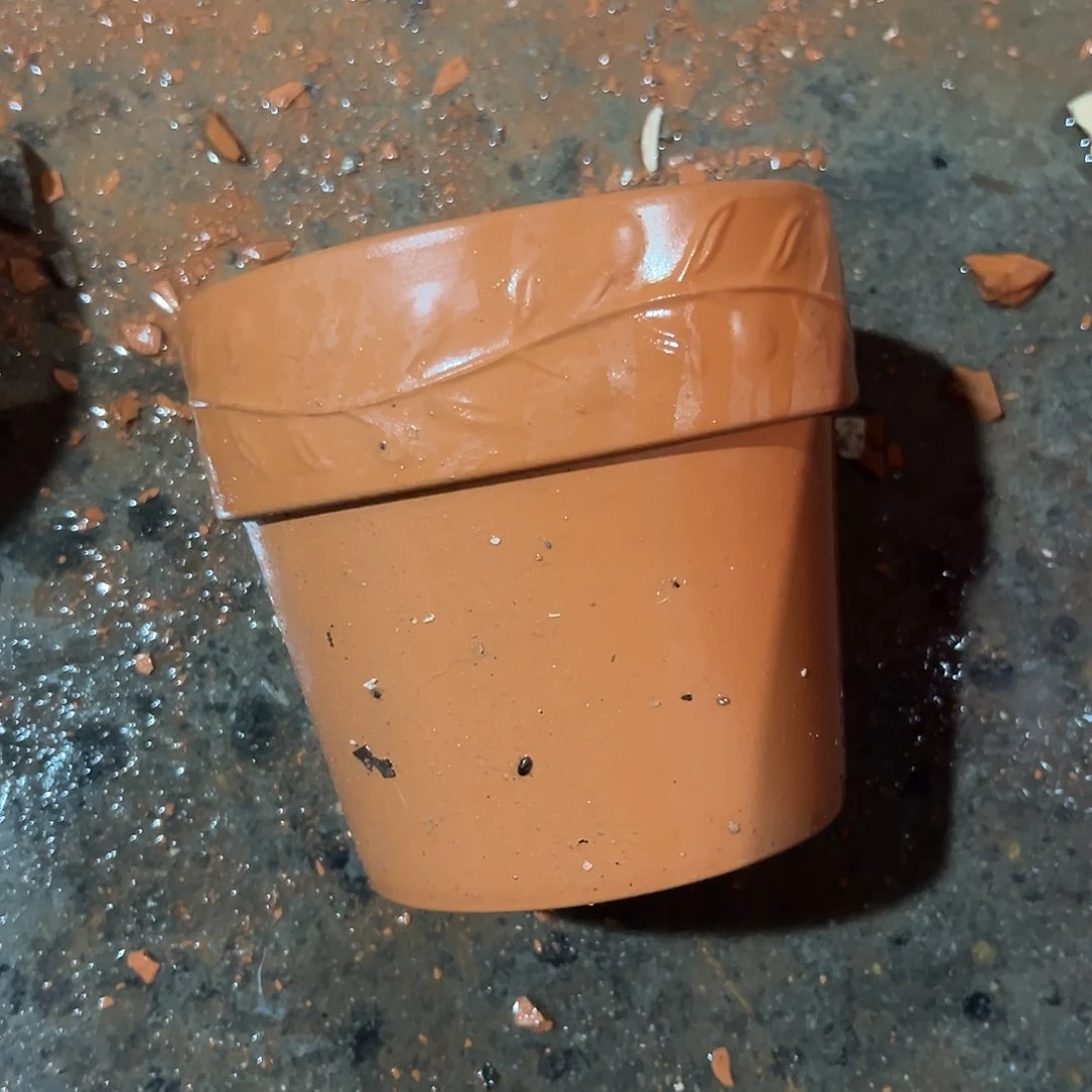 泡水橄榄16口14高1个【泡水瑕疵无售后】