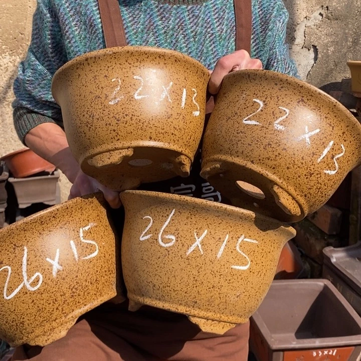 红陶你们的生活状态是