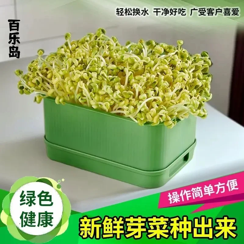 发豆芽专用盆家用豆芽育苗盆豆芽罐花生黄豆绿豆芽苗盒
