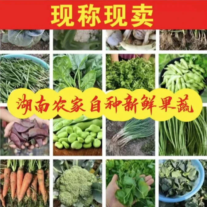 A【赶集收货】湖南乡村赶集现场收获综合农产品