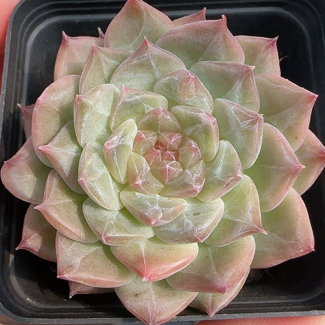 1107----398福利福利