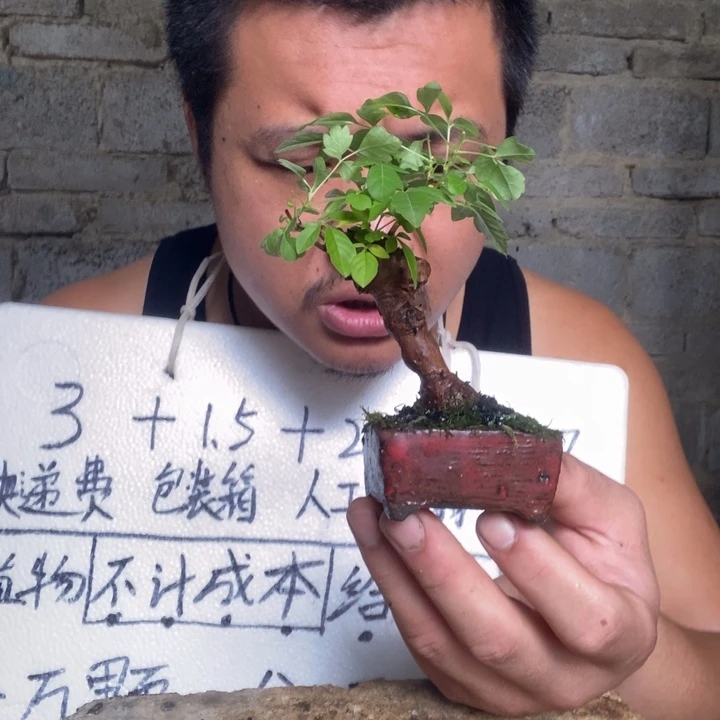 朗***士退款拉黑一物一拍277