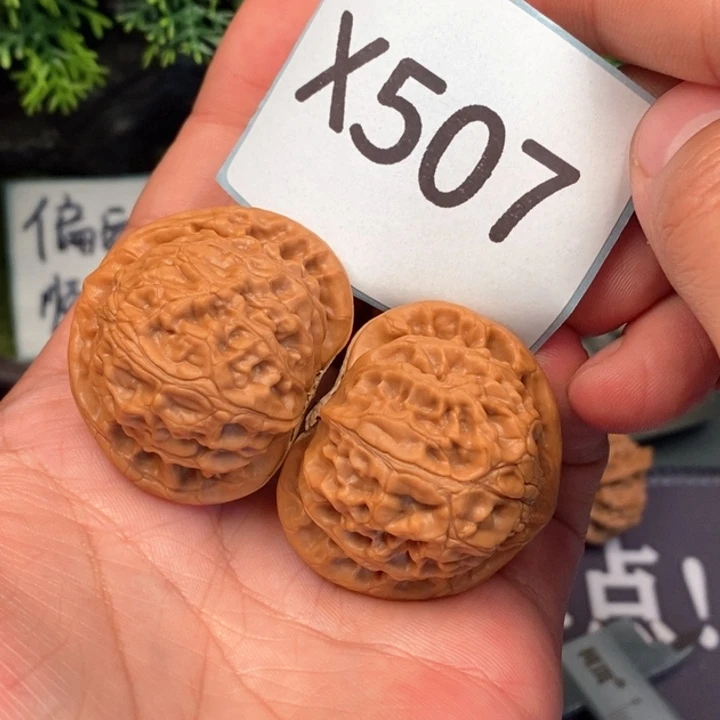 文玩核桃把件老灯507