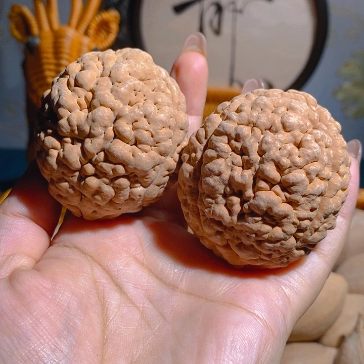 野生三瓣脑纹大金刚4855