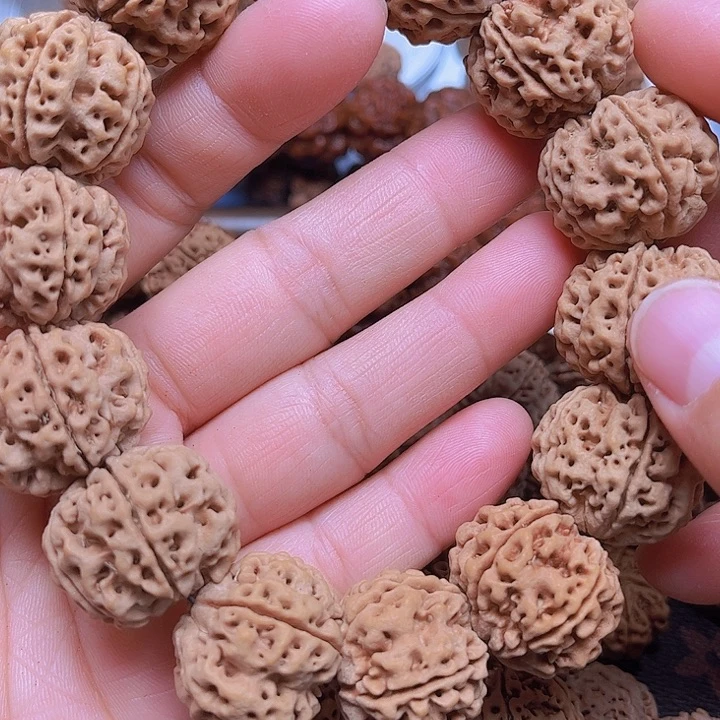 金刚菩提手串L161/25/5