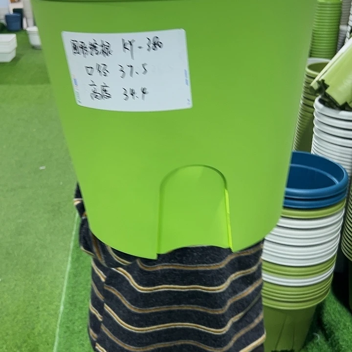 正品圆控口37.5高34果绿无托3只
