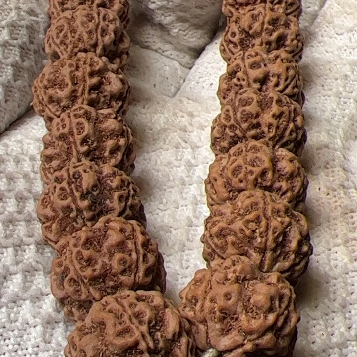 金刚菩提手串【**】18始祖梅花