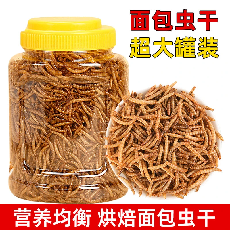 鹦鹉面包虫干烘干玄风虎皮多种鹦鹉零食非油炸高蛋白营养黄粉虫干