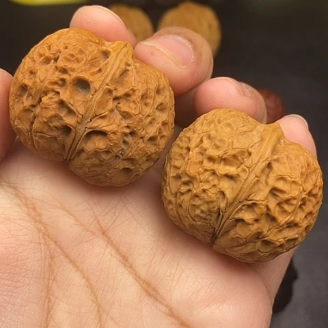 文玩核桃把件38尺玄武元宝