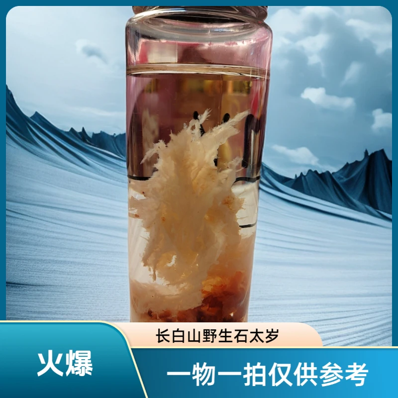 长白山石太岁精品摆件