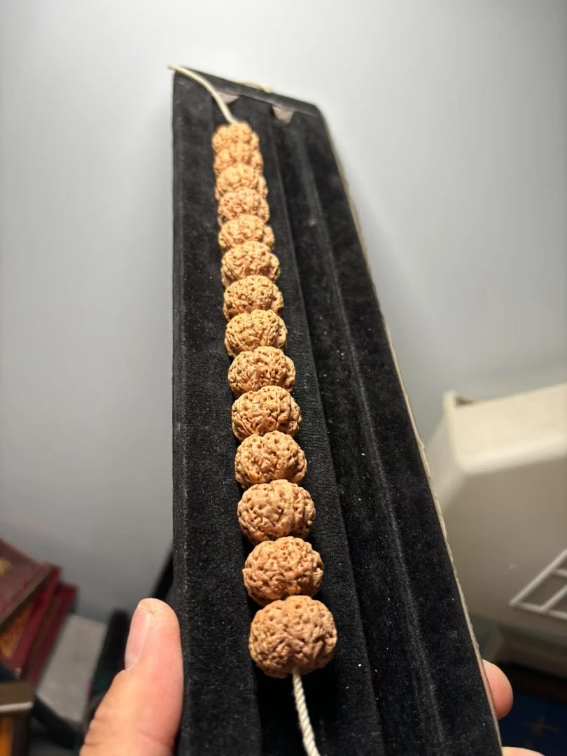 【纽扣•梅花】天然矮桩私人订制