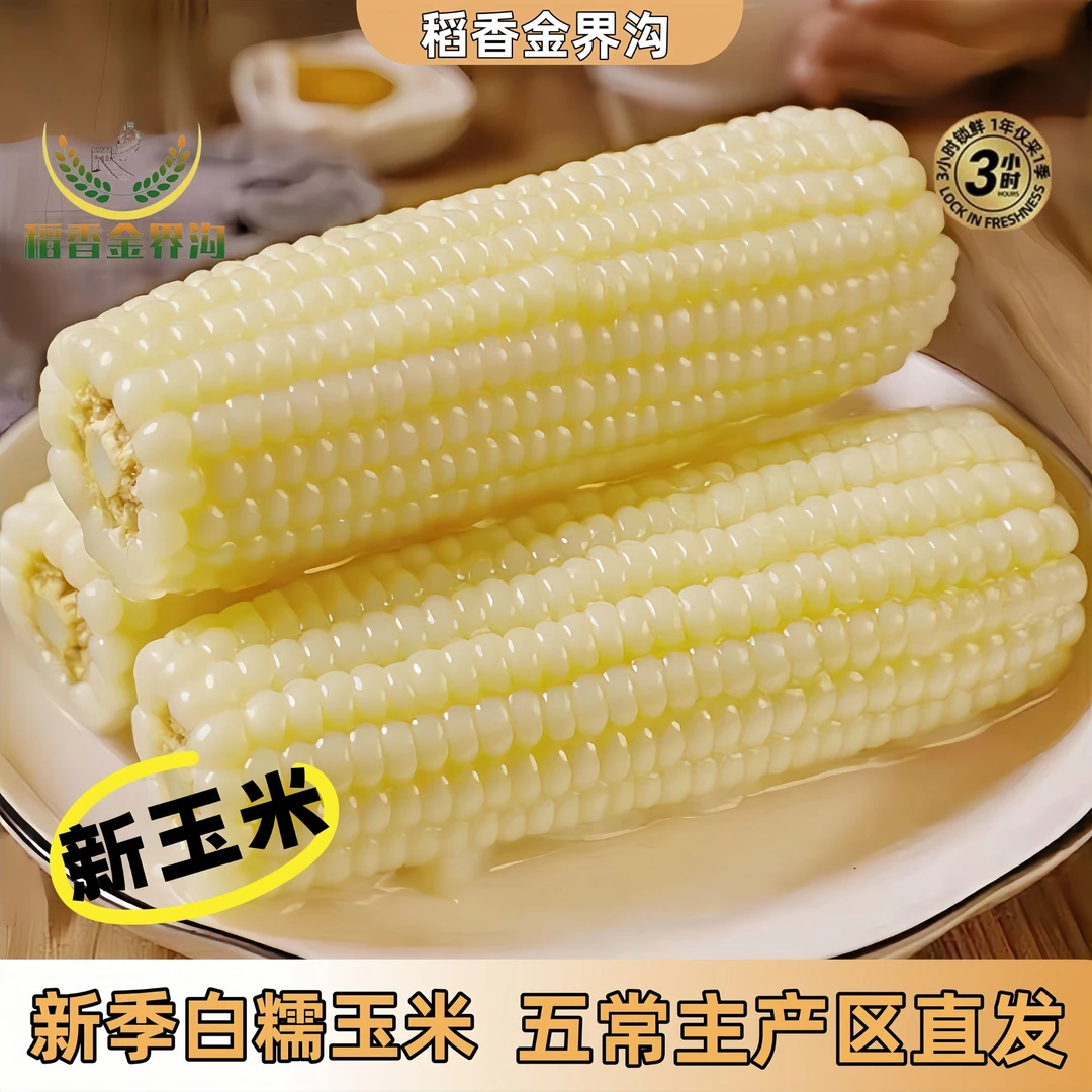 【试吃2根】东北新季白糯玉米/HG袋336品种280g-350g*10根香甜软糯