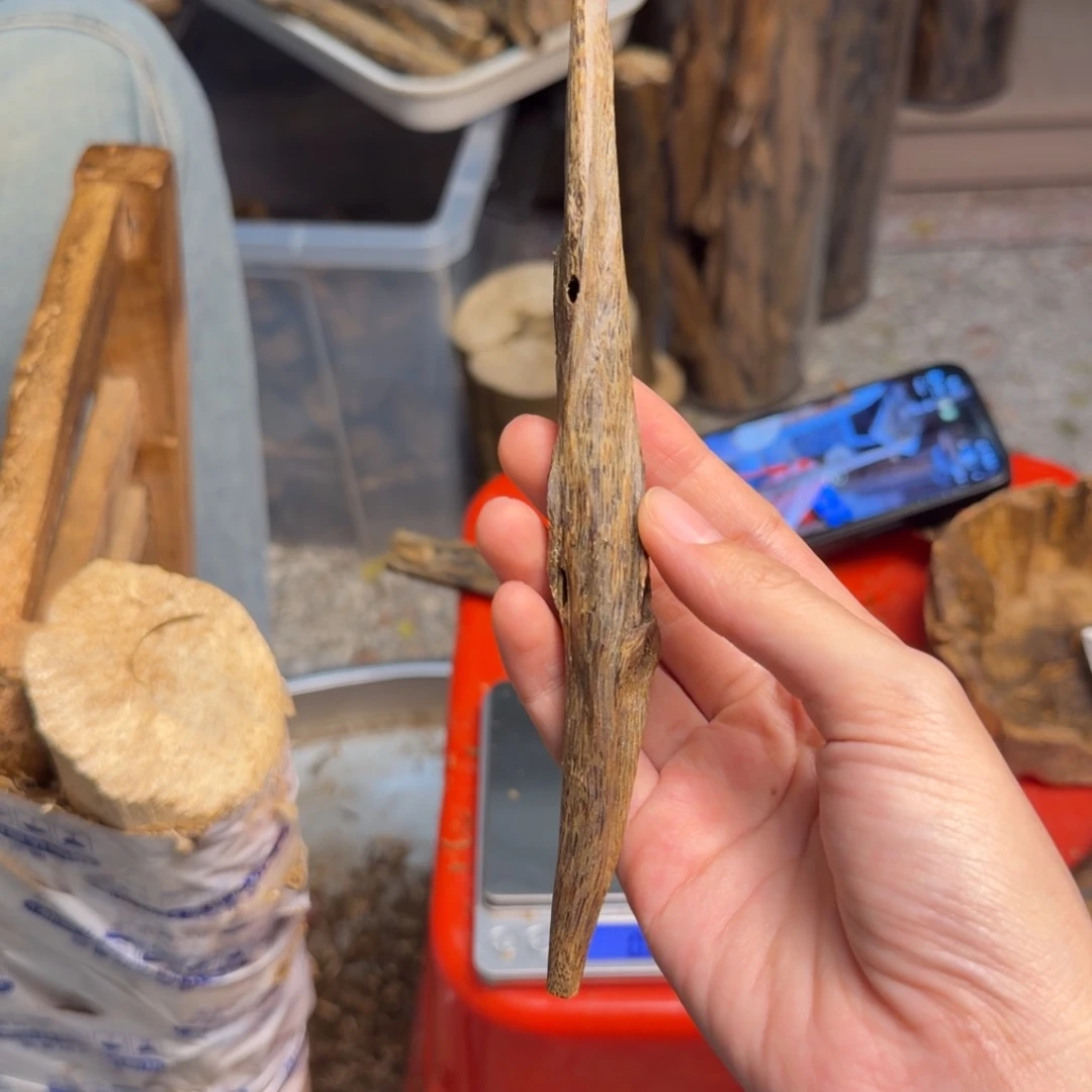 土***羊沉香沉香碎屑陆河天然虫漏12克