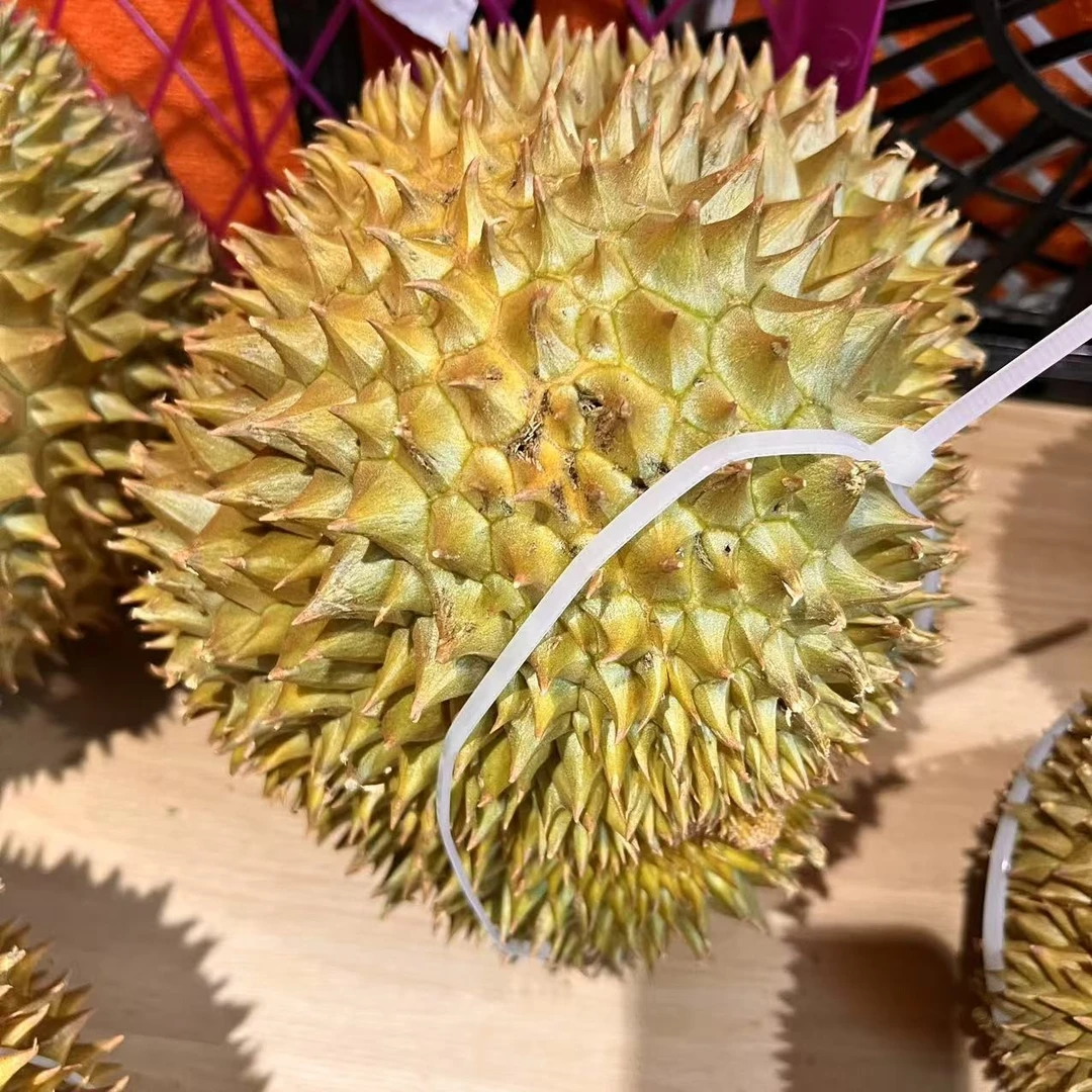 新鲜泰国树熟金枕榴莲 一个3-10斤（果核小）金枕泰国
