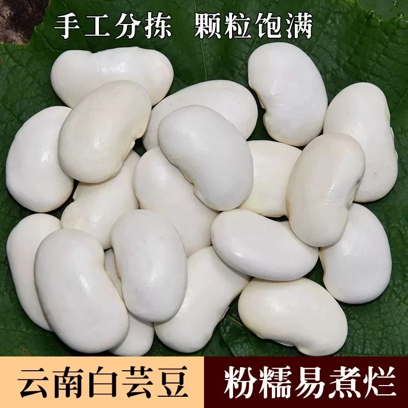 白芸豆农家自种雪豆五谷杂粮营养丰富500g煮粥煲汤蹄花汤炖猪脚