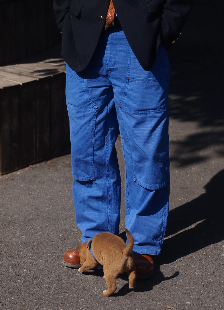 XCCC.COM鱼骨 高支高密双股纯棉格纹法工蓝直筒伐木工装裤250113