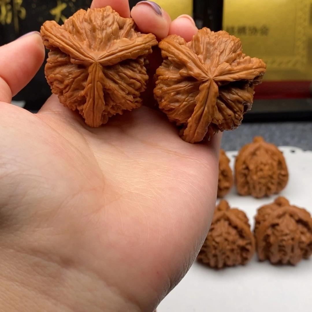 青*白狮子11111111