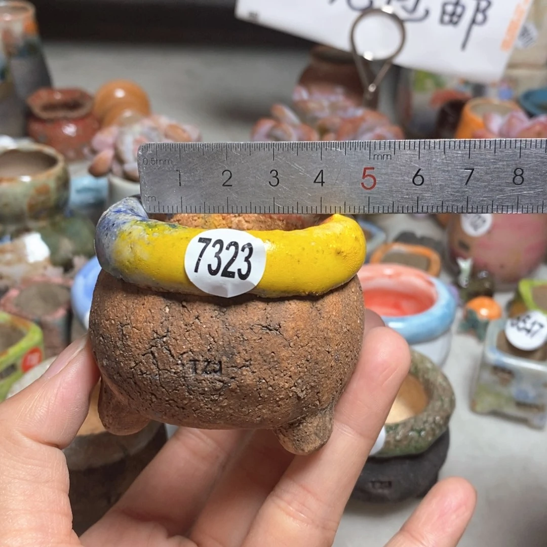 特价不退不换拍5送一个小礼物