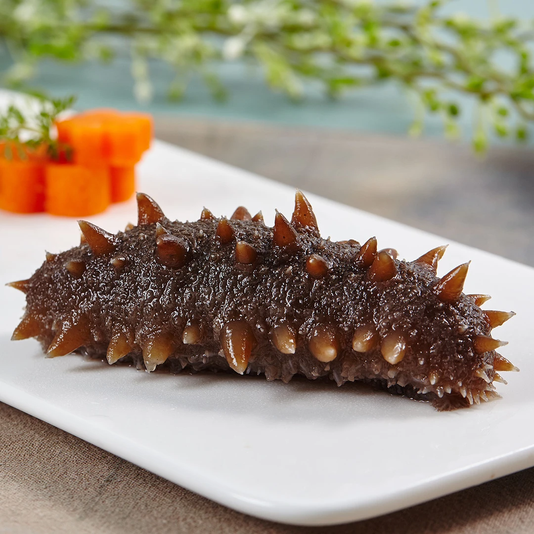 【鲜食海参】  田横本地海参6-8头 500g   无冰衣独立包装