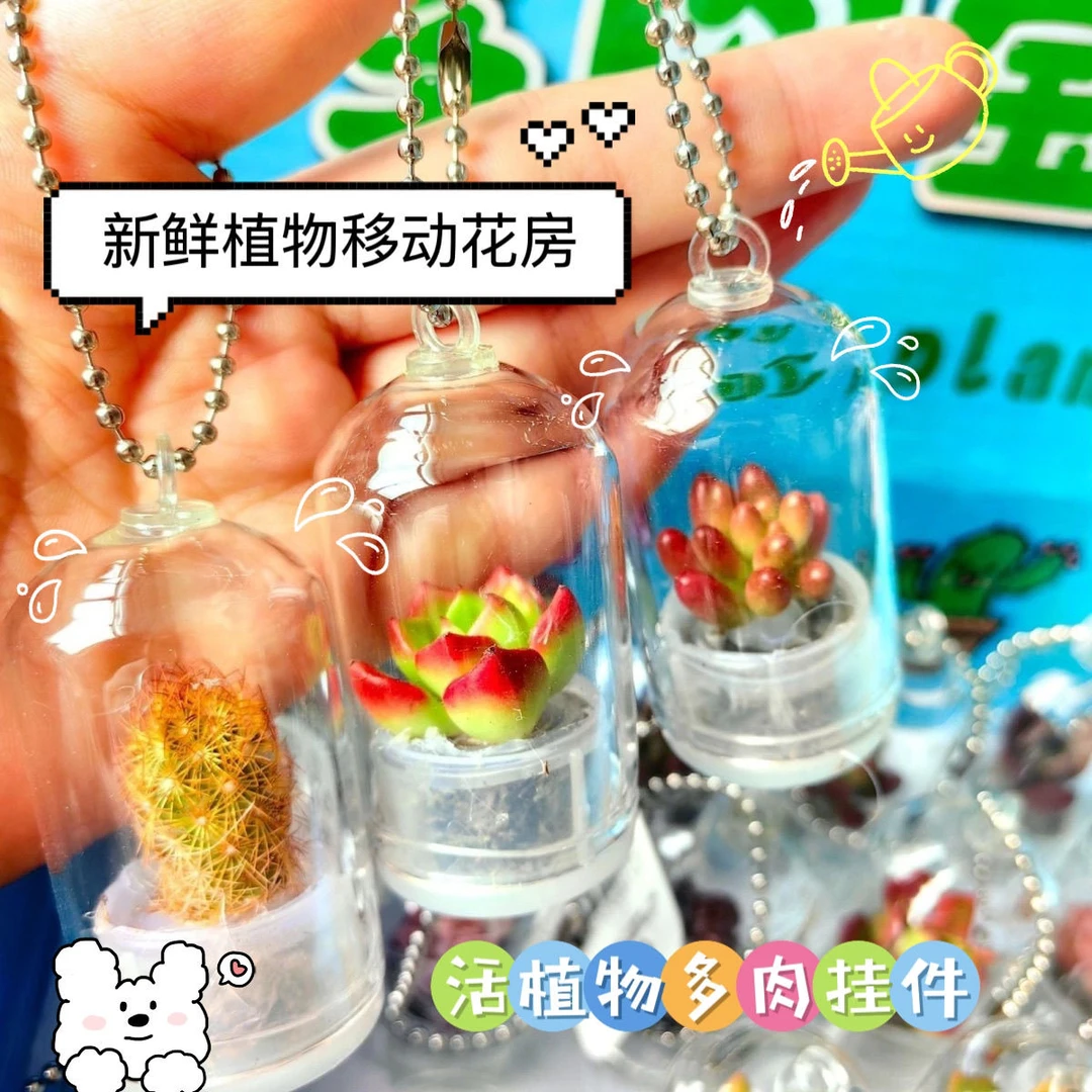 活植物多肉挂件创意迷你微景观钥匙扣玻璃瓶栽小盆栽礼品学生礼物