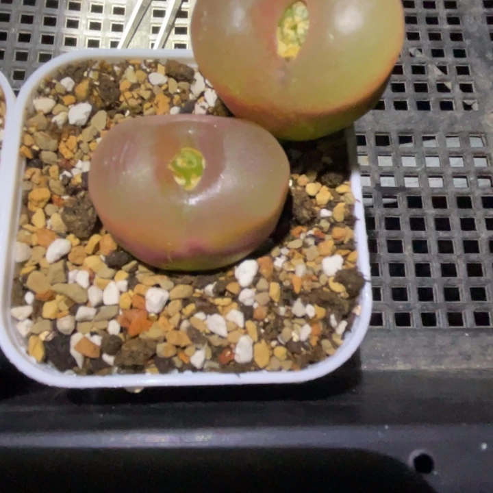 488888888888888888888