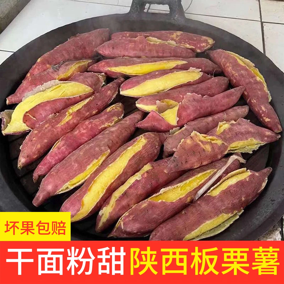 陕西正宗沙地板栗红薯新鲜现挖软糯香甜无丝无筋粉面干甜番薯