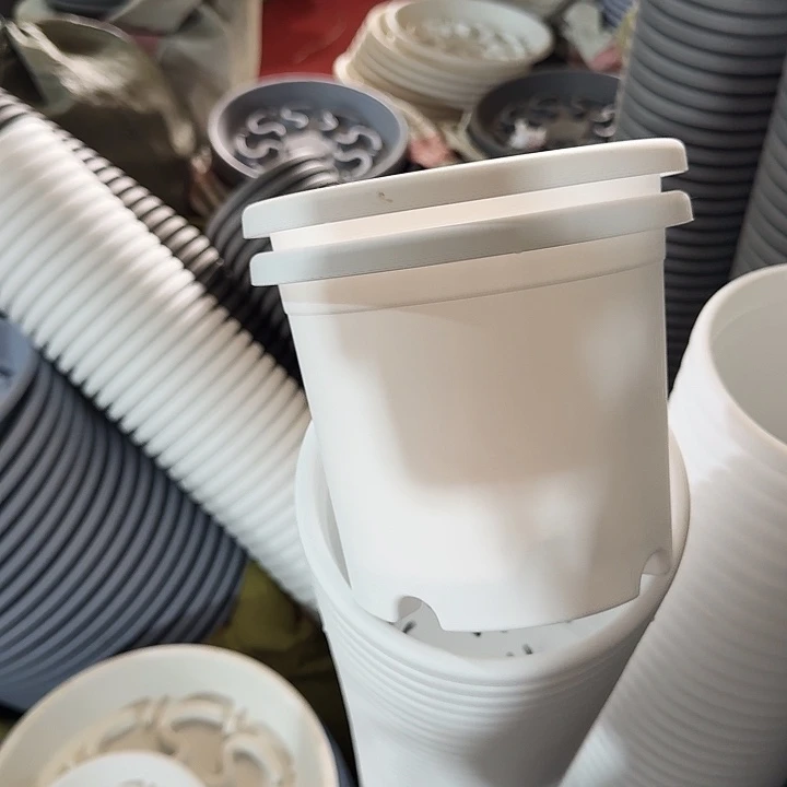 四季2#白色6个带托