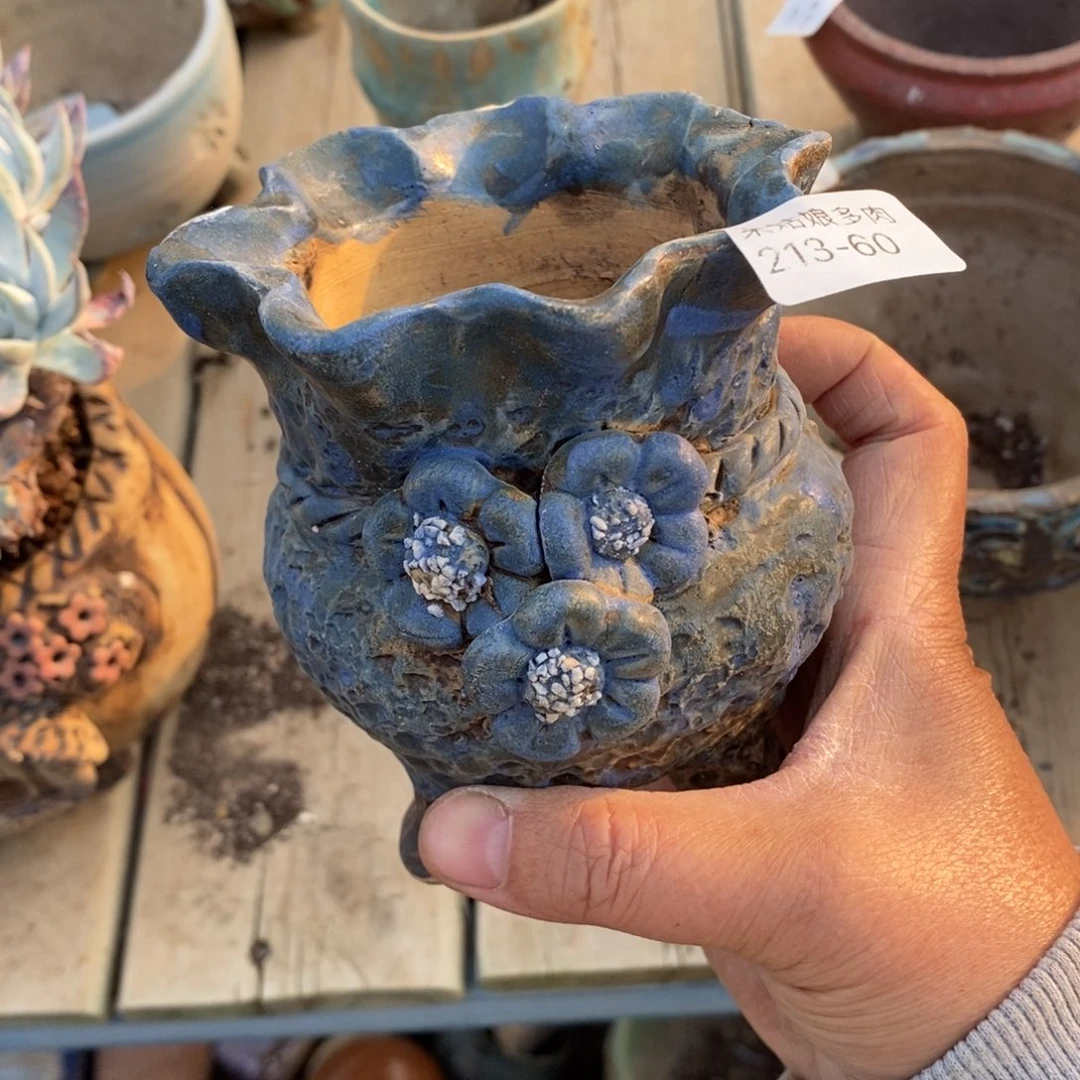 红陶奶****?60号多肉盆一个呀