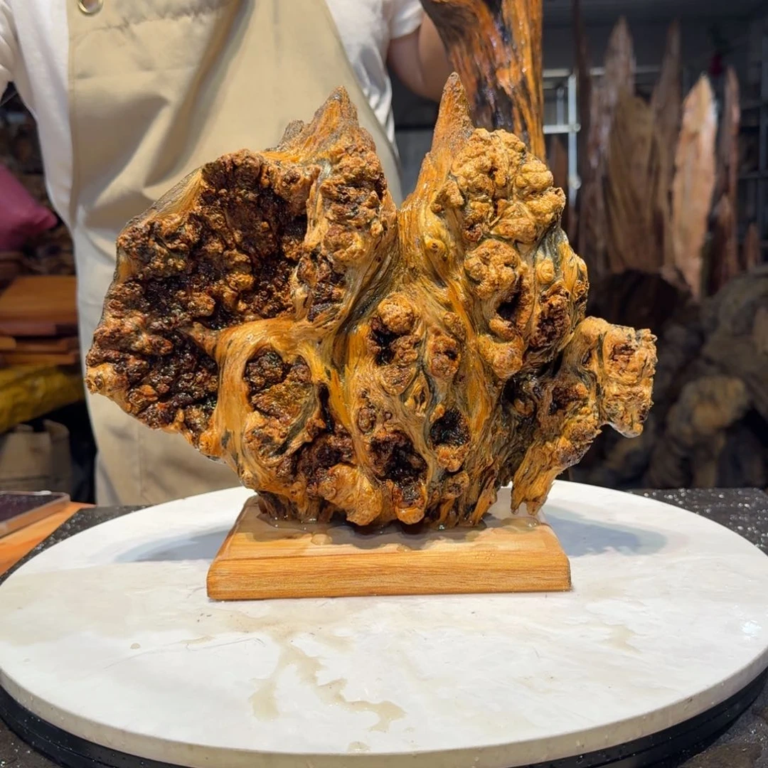 木只****鬼王一刀琥珀木B17