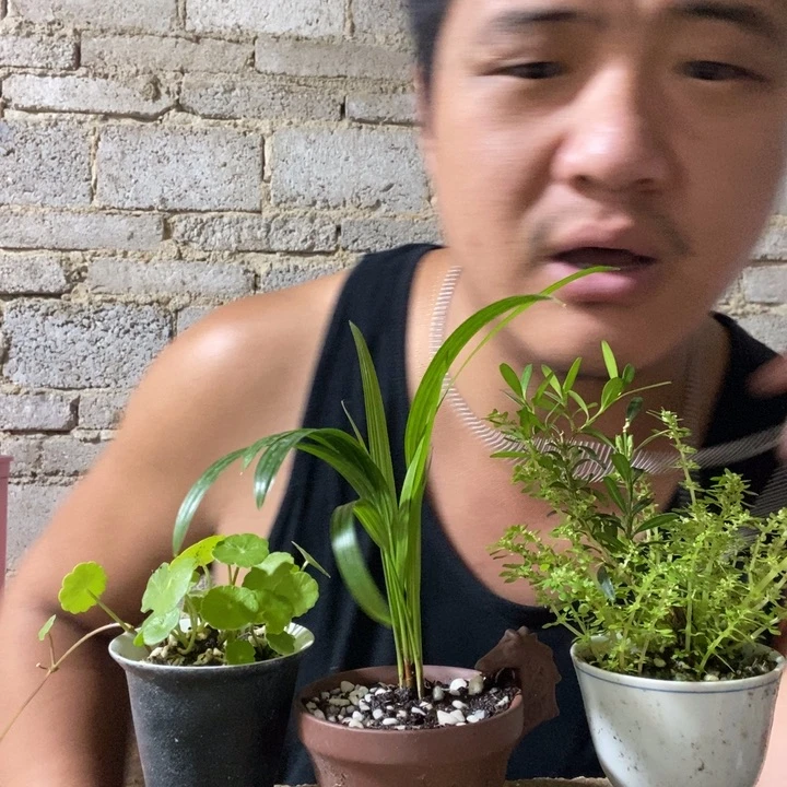完全开放退款拉黑一物一拍202