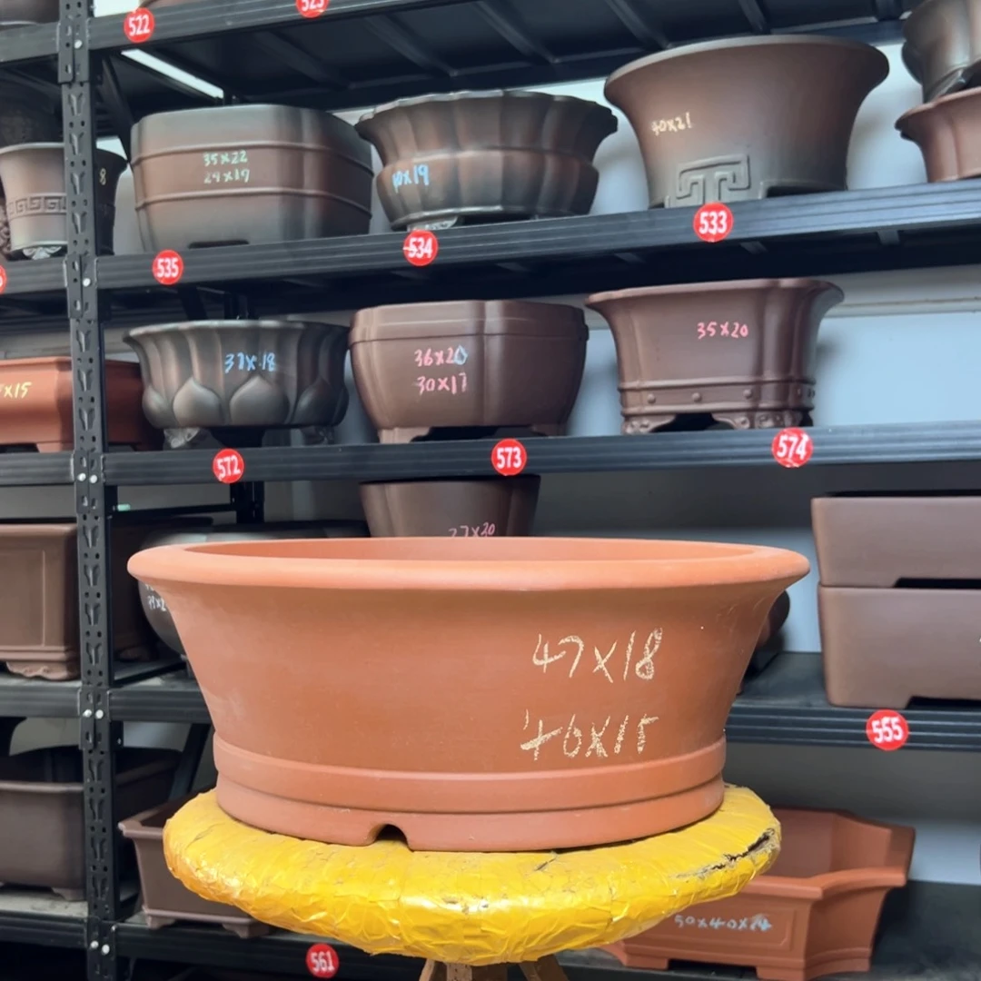 紫砂花盆呜呜呜呜呜我