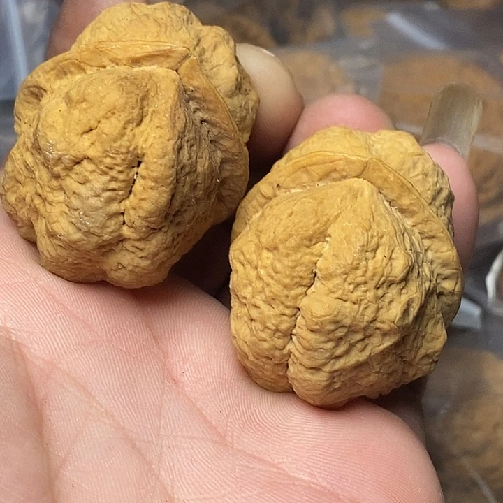 文玩核桃把件云南铁核桃88