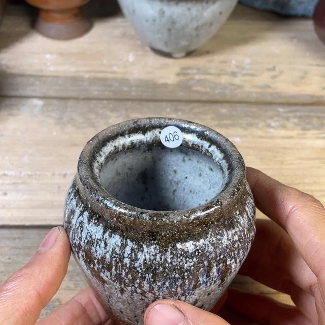 鲸***籽茶盏盏盏都有了一种特殊