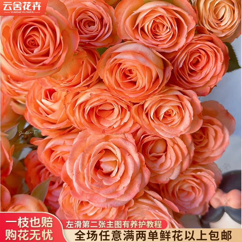 【云舍花卉】【小妖精】多头玫瑰 任意满两单及以上鲜花包邮发货