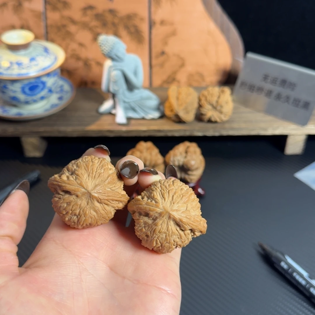 全品44红皮泥鳅背白茬