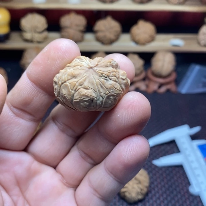 h***e文玩核桃把件文玩