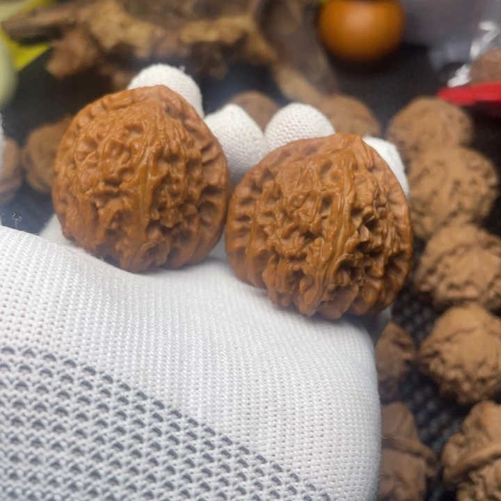 核桃全品43白狮子
