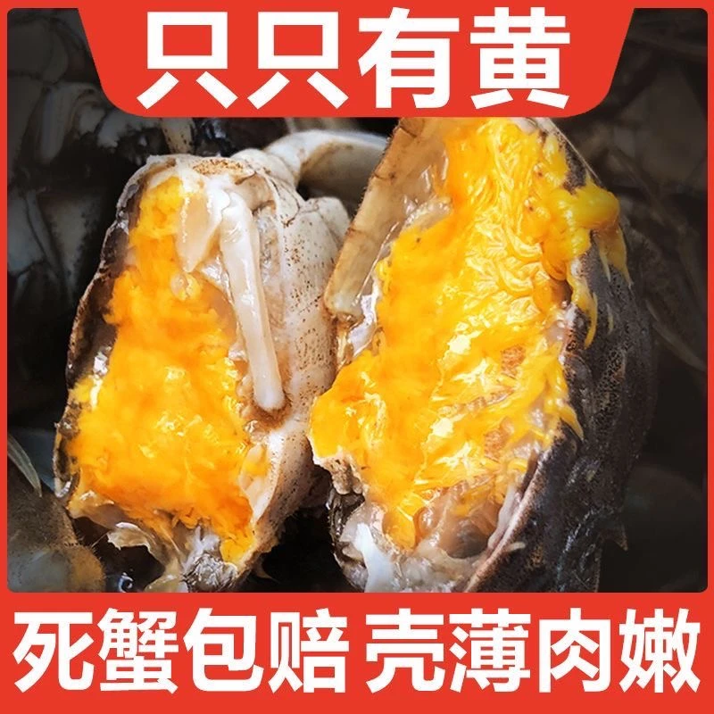 【活蟹】全母蟹1.5-1.7两 10只 京东包邮  绑绳