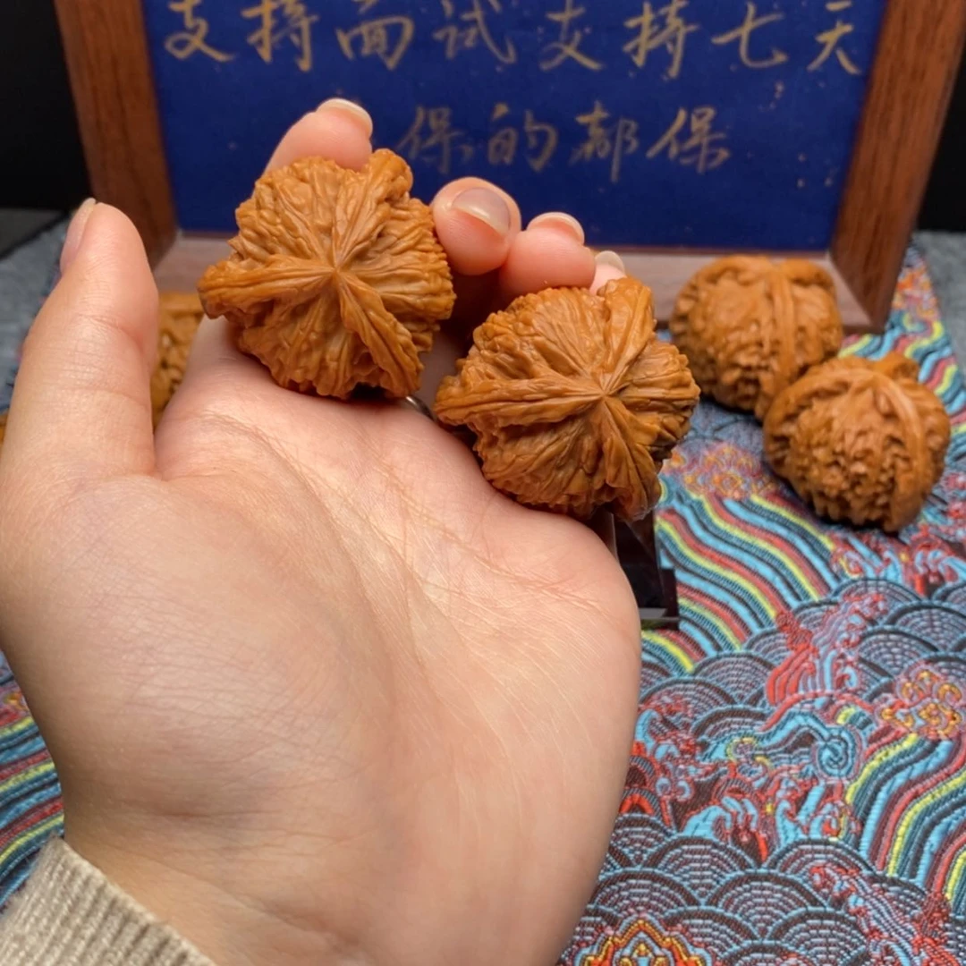 【闪购商品】芦*白狮