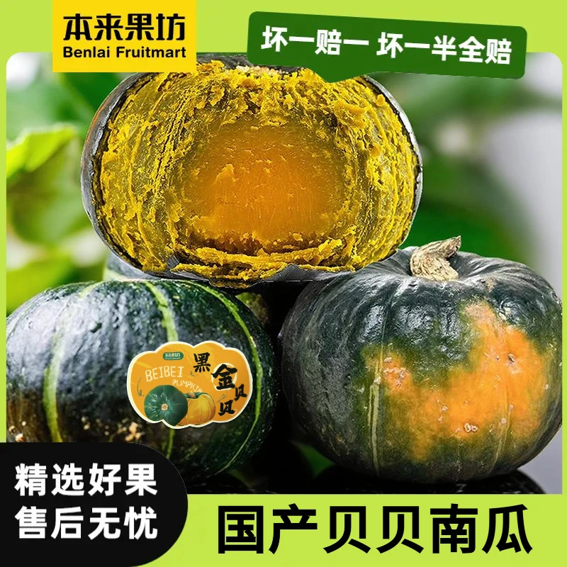 【本来果坊】贝贝南瓜 5斤 细腻甜糯香甜 新鲜健康好吃 宝宝辅食