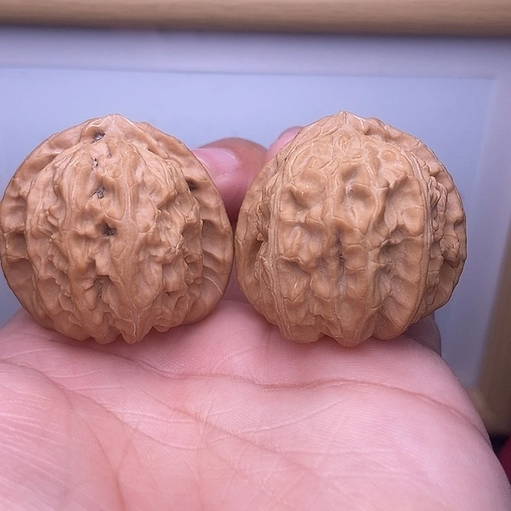 核桃全品小三角白