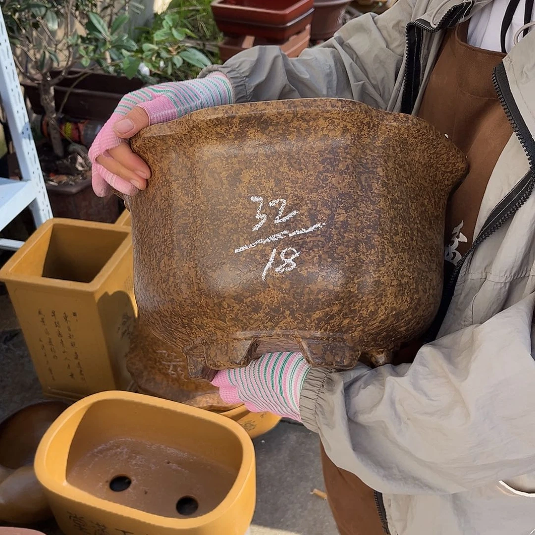 紫砂花盆盆景艺术