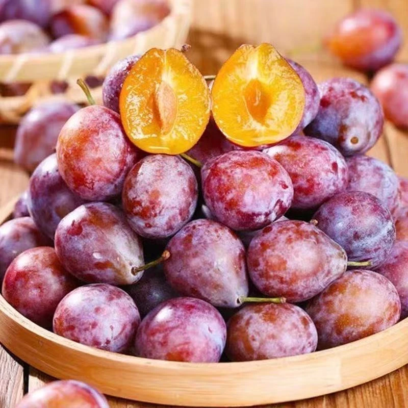 正宗新疆法兰西西梅新鲜水果产地直采香甜多汁