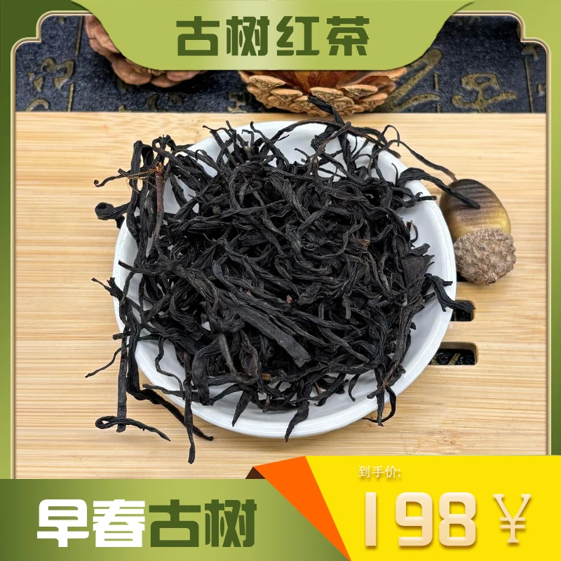 早春古树茶