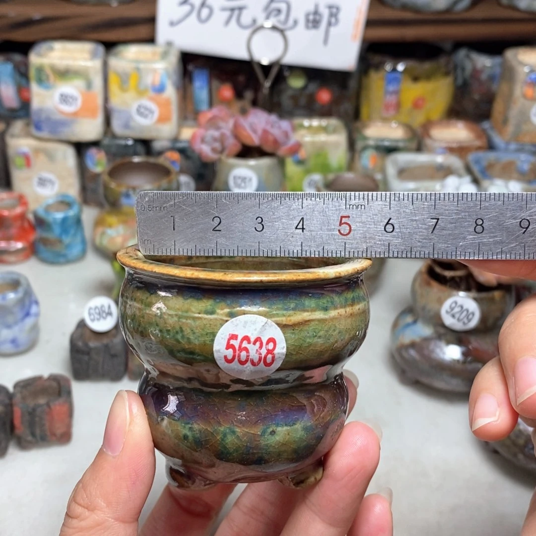 拍5送一个小礼物