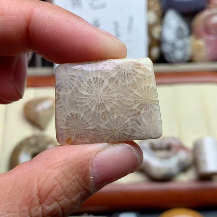 硅化珊瑚（珊瑚玉）颈饰未镶嵌