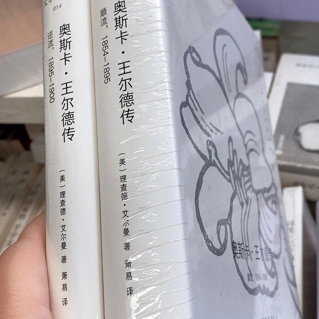王尔德上下