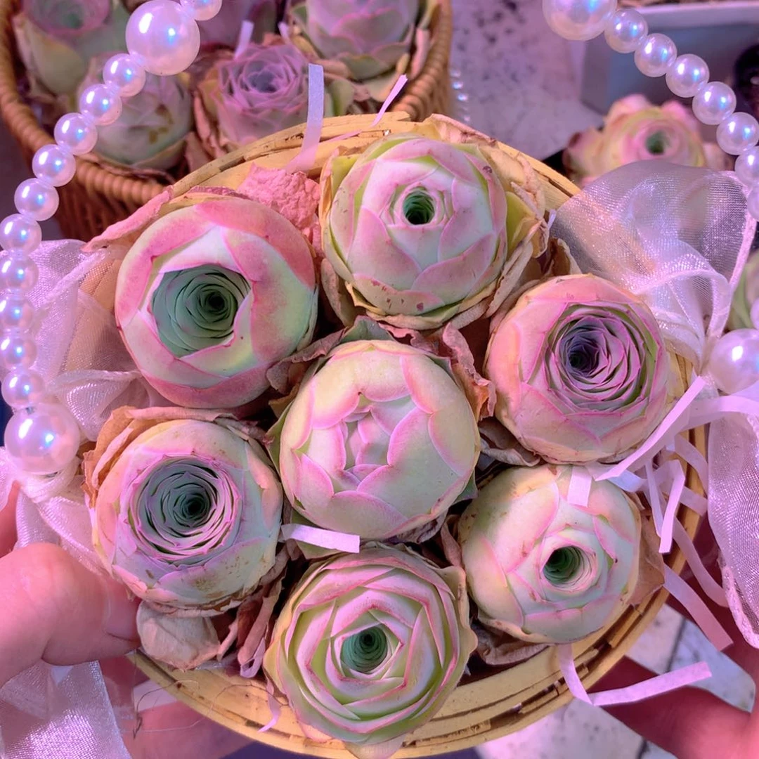 夜****〉一物一拍下播福利666