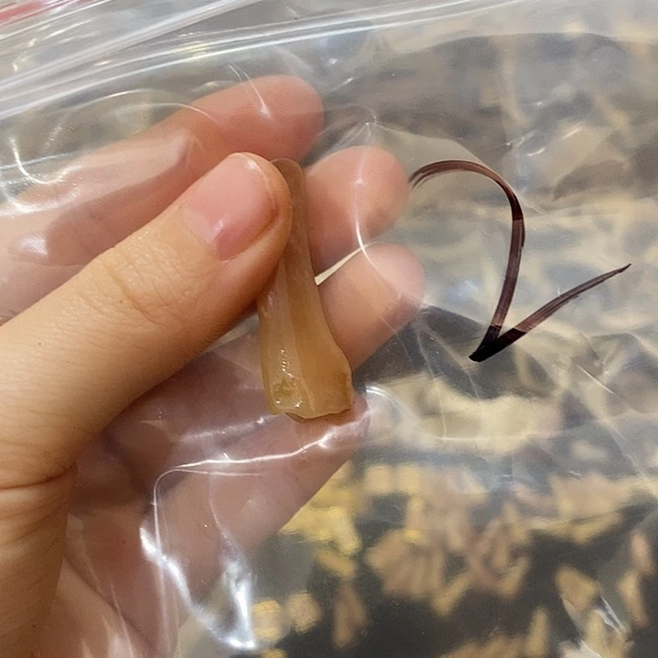 半***雨无非金属鹿骨鹿骨鹿骨鹿骨